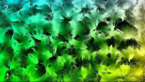 MoldLab simulation showcase GIF (repelling/organic movement)